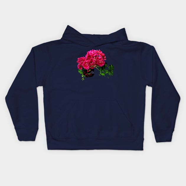 Geraniums - Graceful Geraniums Kids Hoodie by SusanSavad